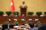 国会通过《参加联合国维和行动法》